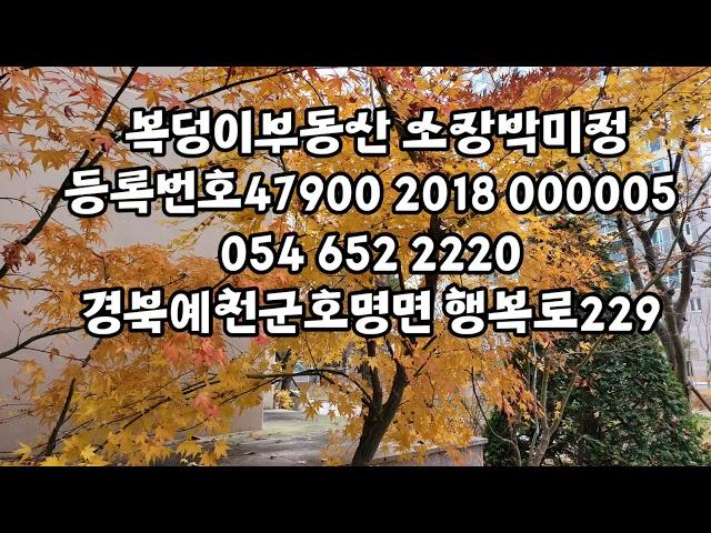 경북도청1층상가임대 ( 시설비 없음)