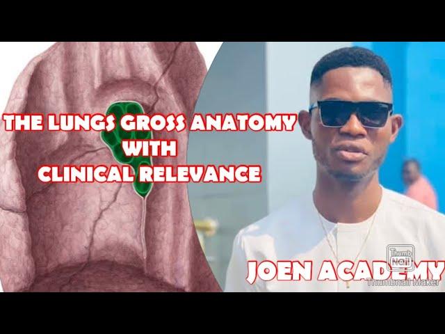 The Lungs Gross Anatomy with Clinical Relevance