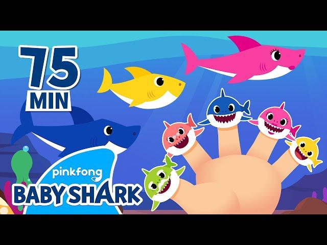 ️Baby Shark Finger Family Songs and Stories | +Compilation | Baby Shark Official