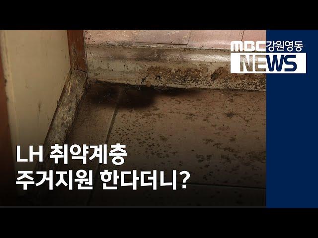 [뉴스리포트] LH 취약계층 주거지원 한다더니? 200831