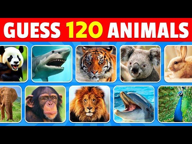 Guess 120 Animals in 3 Seconds | Easy, Medium, Hard, Impossible