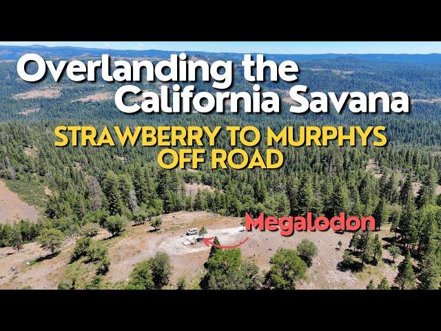 Exploring Sierra Foothills: The Ultimate Overland Adventure!