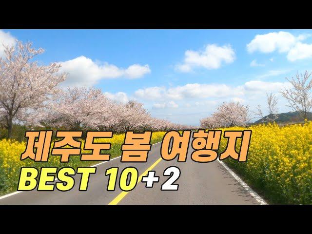 봄에 꼭 가야 할 제주도 여행지 BEST 10