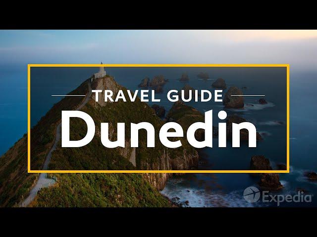 Dunedin Vacation Travel Guide | Expedia