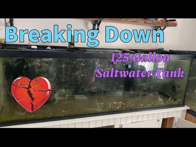 125 Gallon Tank breakdown