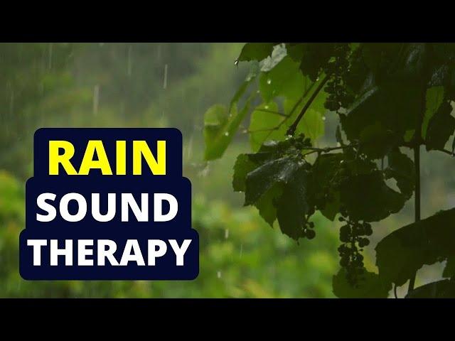 Tinnitus Sound Therapy | Rain Water