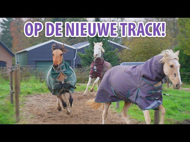 DE PAARDEN MOGEN OP DE NIEUWE TRACK!