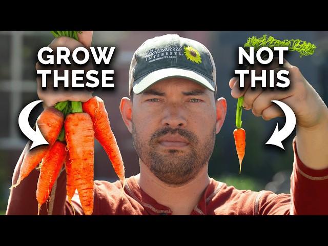 Watch This BEFORE You Plant Carrots 