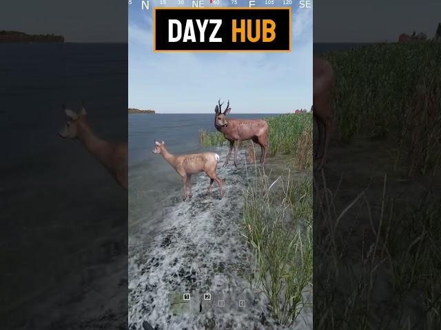 Dayz-Hub presents. The cost is two deer #dayz #funny