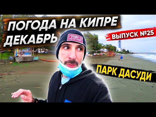 Погода на Кипре в городе Лимассол | Парк Дасуди (Dasoudi Beach)