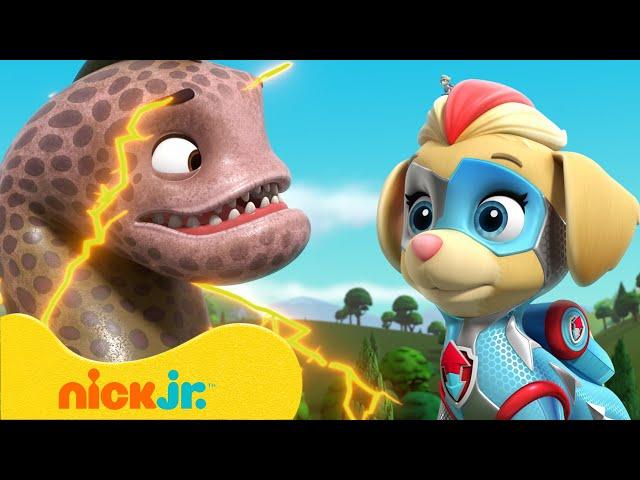 Psi Patrol | Kosmopieski kontra wielkie zwierzaki! | Nick Jr. Polska