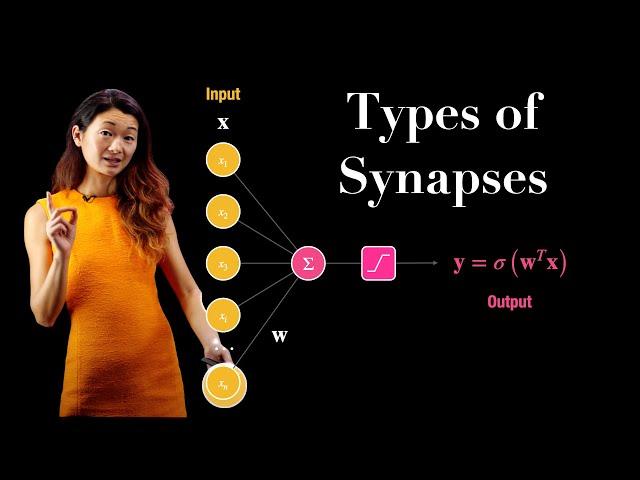 Types of Synapses