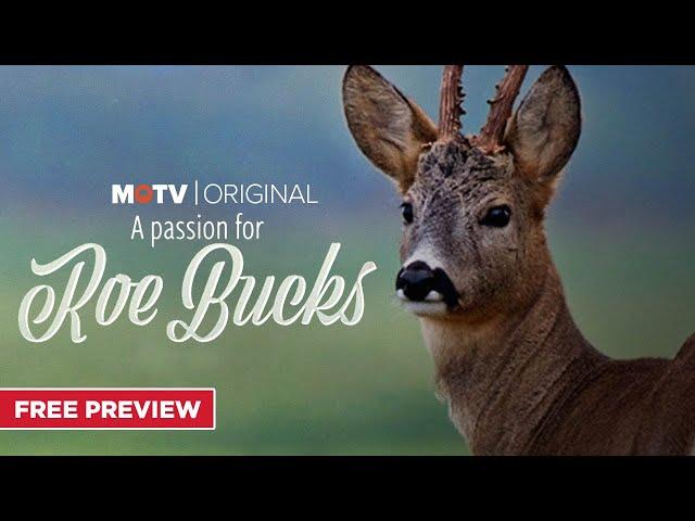 A Passion for Roebucks | Season 1 Preview