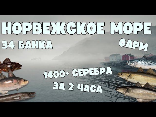 ФАРМ НОРВЕЖСКОЕ МОРЕ | 34 БАНКА | РУССКАЯ РЫБАЛКА 4 | РР4