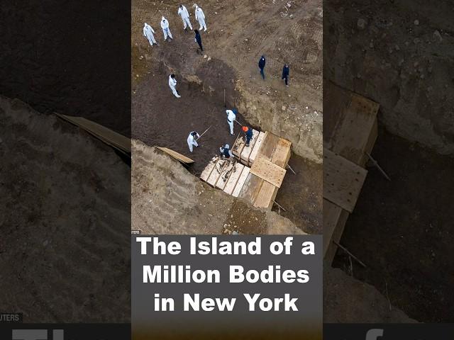 The Island of a Million Bodies in New York #shorts #facts #history