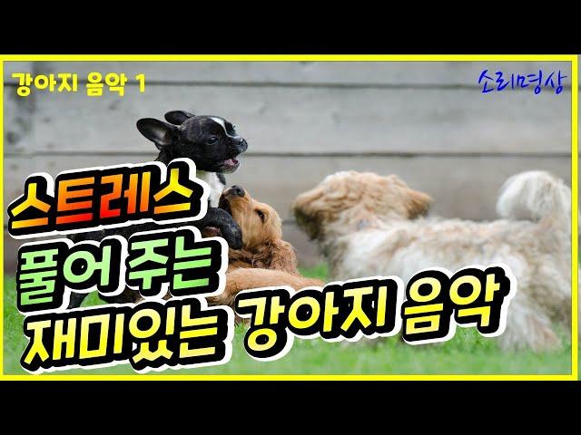 Do Music 1 - "Tasty Dog Music to Release Stress" - 60 minutes.