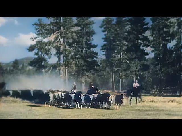 John Wayne | Helltown 1937 (Western, Colorized) directed by Charles Barton | written by Zane Grey