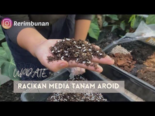 Potting mix/ media tanam aroid update