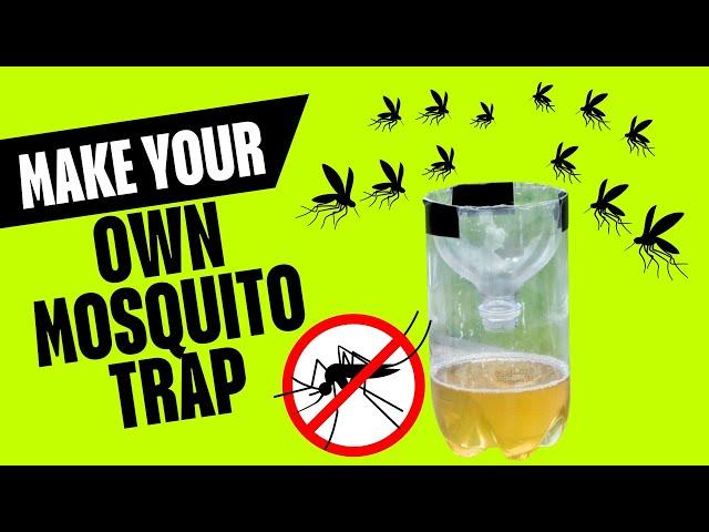 How to Make DIY Mosquito Trap Easily