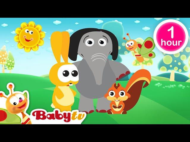 Jogando Futebol ​ + mais clássicos da BabyTV  | episódios completos @BabyTVPT