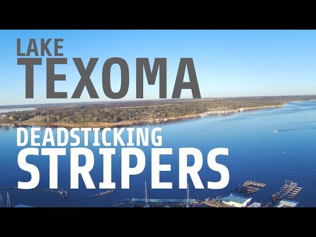 Deadsticking for Stripers on Lake Texoma (CATCH AND COOK)