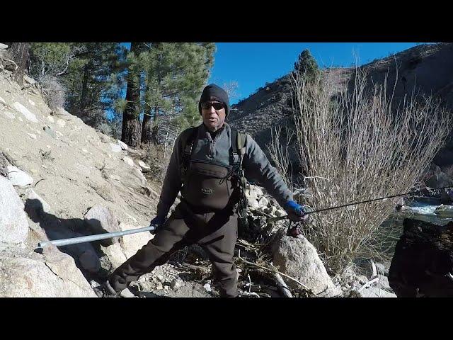 Solid Brown Trout in the West Walker River (Off HWY395)