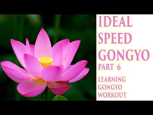 Round 6: Ideal Speed Gongyo