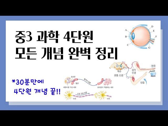 [중3 과학] 4단원 모든 개념 완벽 정리