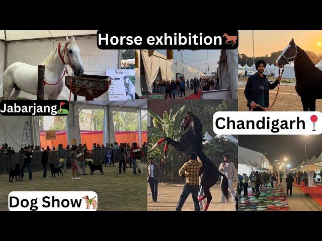 Chandigarh Horse exhibition//Jabarjang te khalifa leke phonche️