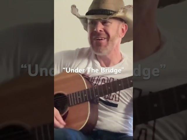 “Under The Bridge” @RedHotChiliPeppers #music #guitar #acoustic #rock #song #cover #singer #rhcp