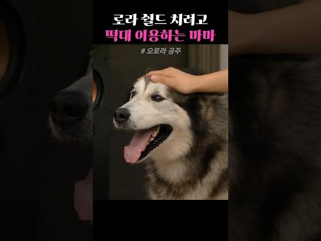 로라 지켜주려고 떡대 이용하는 마마 #오로라공주