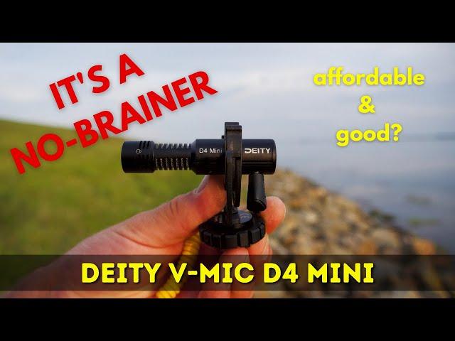 DEITY V-mic D4 Mini REVIEW // Affordable & good? It's a NO-BRAINER!