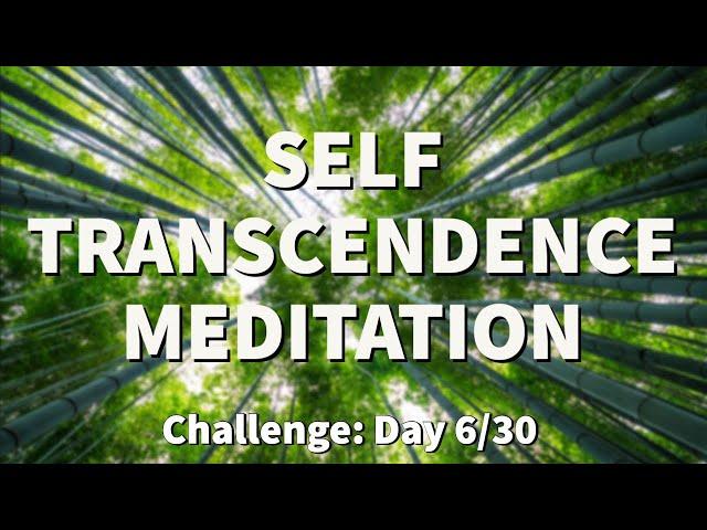 Meditation for TRANSCENDENCE - Transcendental Experience | 2022 Challenge - Day 6  | Raphael Reiter