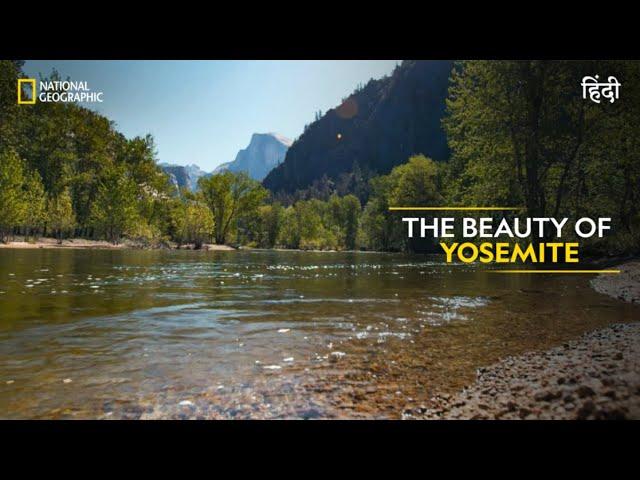 The Beauty of Yosemite | America’s National Parks | हिन्दी | Full Episode | S1-E3 | Nat Geo