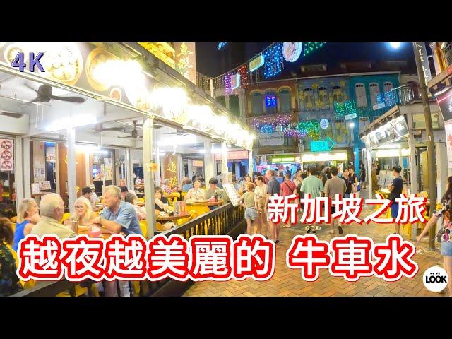 (4K街拍) 新加坡-越夜越美麗的牛車水 Singapore Chinatown