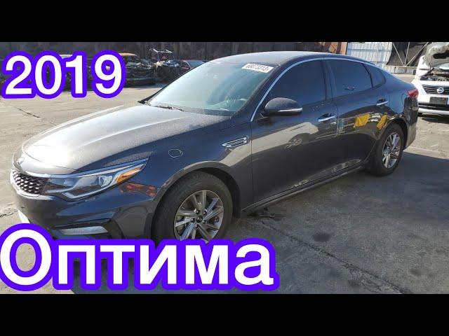 Аукцион Copart Kia Optima но зада нархи даст рас кати!