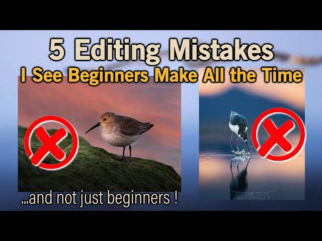 5 Beginner Mistakes When Editing Photos