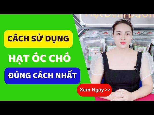 Cách Sử Dụng Quả Óc Chó | Ăn Hạt Óc Chó Đúng Cách Nhất | HSaHa