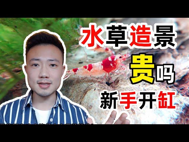 草缸系列 | 04 新手水草缸开缸完毕！总共花了多少钱？我的滤桶、底柜以及目前在养的鱼