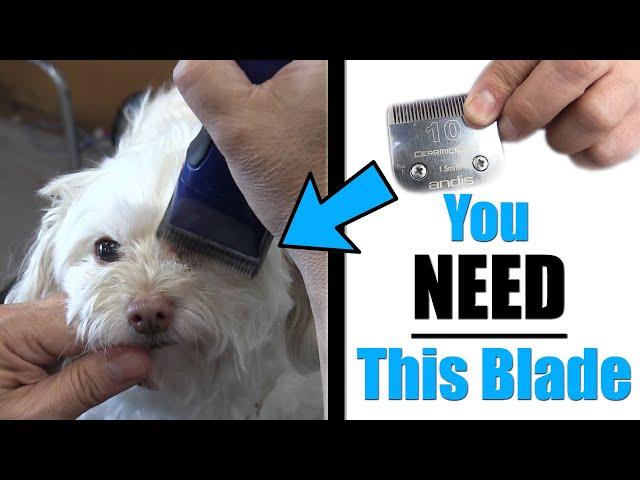 The BEST Blade For Grooming Your Pet