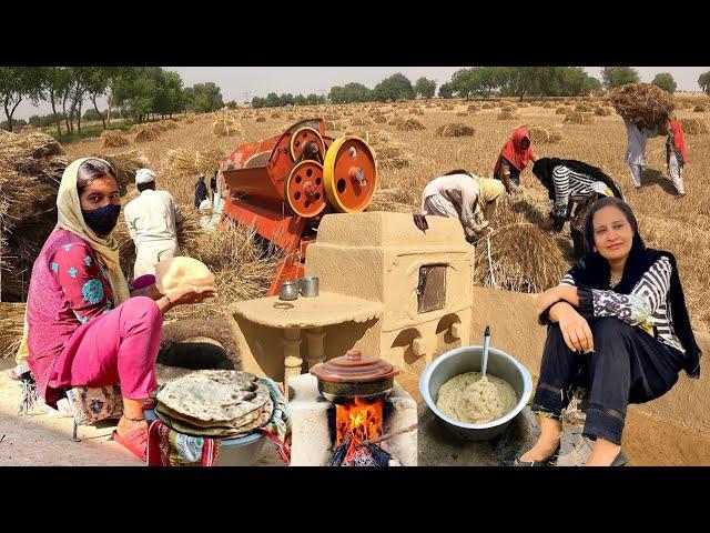 Traditional Food Cooking For Wheat Harvester laborers | Village Life Pakistan || Rural life