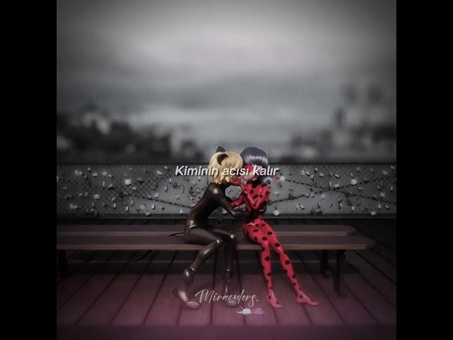 Miraculous Season 5 Sad Edit Mucize Uğur Böceği İle Kara Kedi #shorts