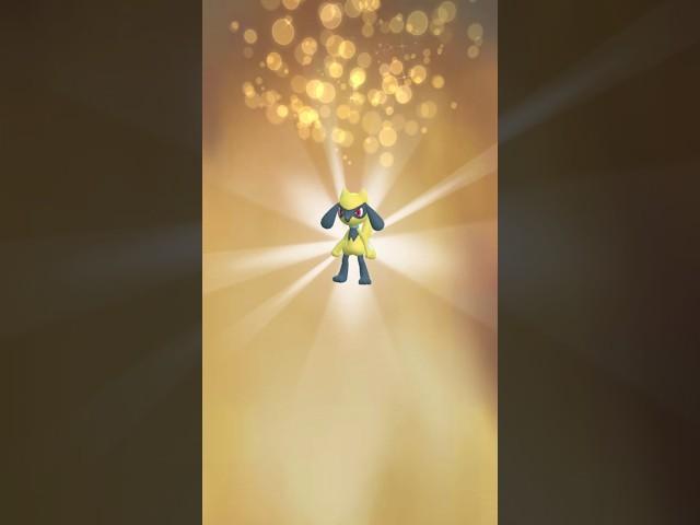 Do THIS To Prepare For The Unova Tour!  #shorts