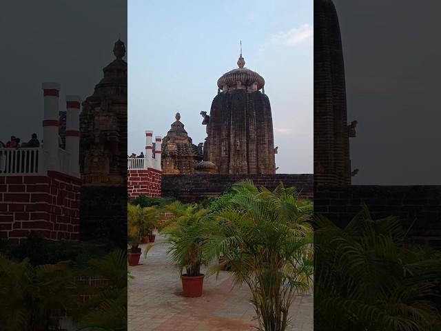 Lingaraj temple️ Bhubaneswar||#temple #harharmahadev #lingarajtemple #bbsr