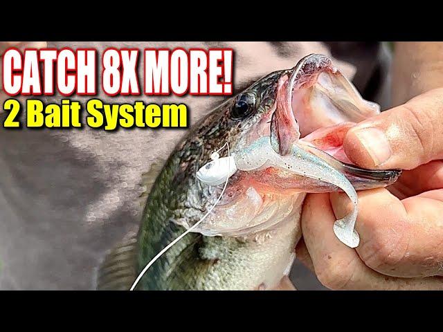 The 2 Finesse Baits You NEED for Nonstop Fall Bass Action