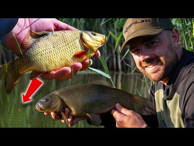 Fishing For CRUCIAN CARP & TENCH - Traditional Float Fishing