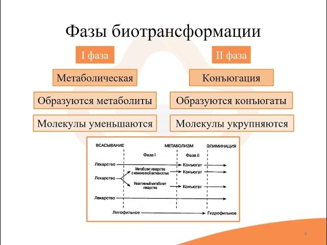 1.5. Фармакокинетика: Биотрансформация