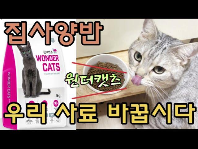 (제품협찬) 고양이사료추천, 모든연령섭취가능한고양이사료,원더캣츠, 고양이사료,반려묘사료,영양가득사료, Cat Feed Recommendation,Symbolic,Cat Food