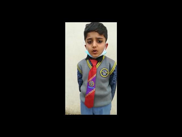 yahya sajjad prep