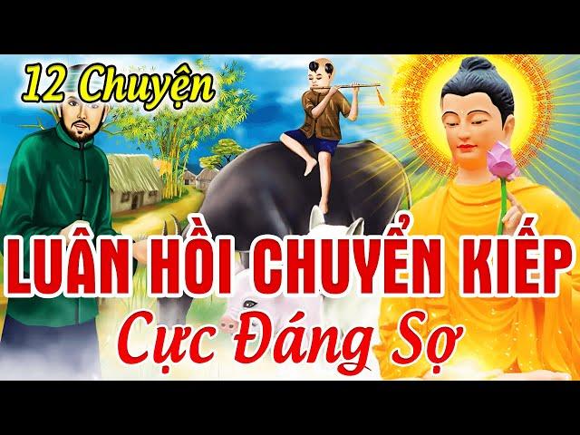 12 Chuyện Nhân Quả Báo Ứng Có Thật, Về Luân Hồi Chuyển Kiếp Đầu Thai Làm SÚC SANH Rất KHỔ SỞ ...